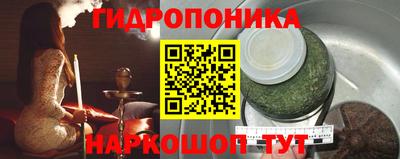 трава Кингисепп